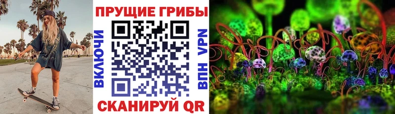 сколько стоит  Тетюши  Псилоцибиновые грибы Cubensis 